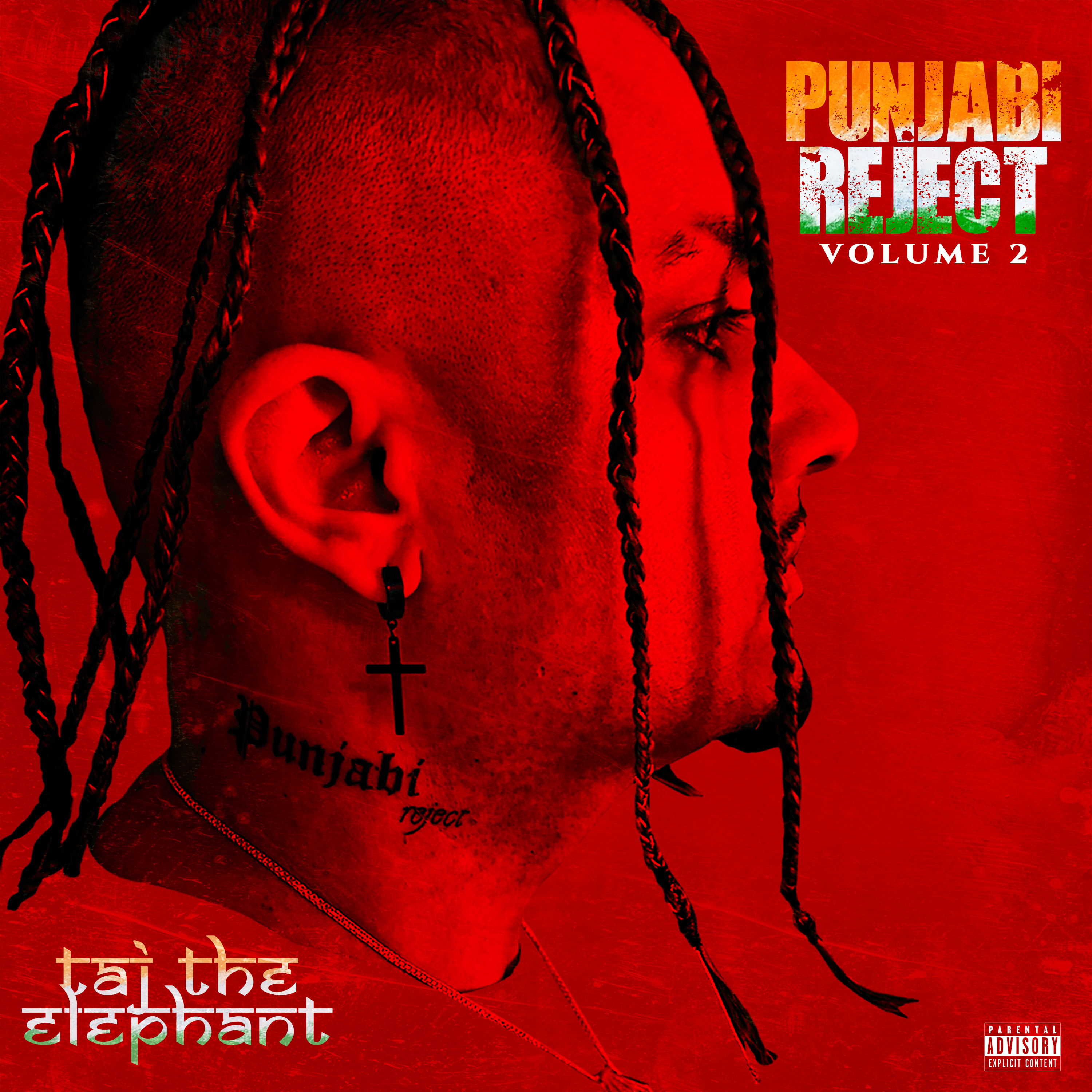 Punjabi Reject Vol. 2 Album Art